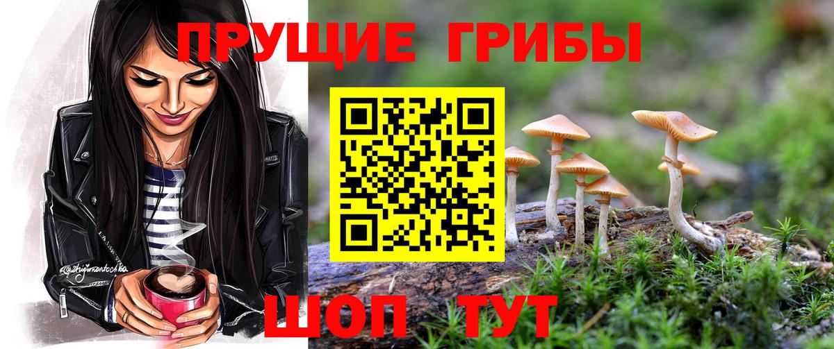Галлюциногенные грибы Magic Shrooms  Вход с VPN  Чернушка 