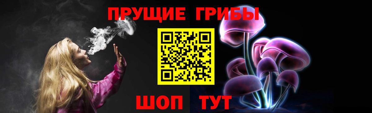 Псилоцибиновые грибы мухоморы Чернушка